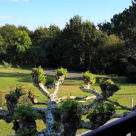 Garatenborda Proche Biarritz Avec Piscine Jacuzzi Salle De Sport Parking Petanque Fronton Villa Arcangues