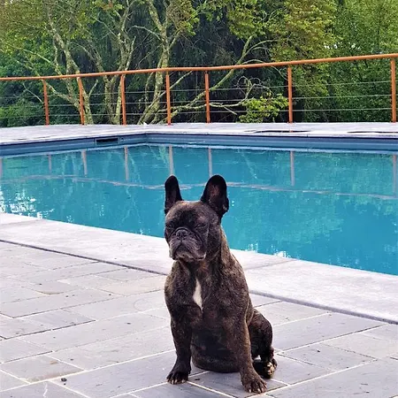 Villa Garatenborda Proche Biarritz Avec Piscine Jacuzzi Salle De Sport Parking Petanque Fronton Arcangues