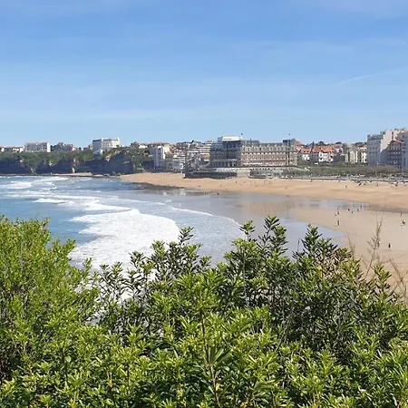 Garatenborda Proche Biarritz Avec Piscine Jacuzzi Salle De Sport Parking Petanque Fronton Villa *